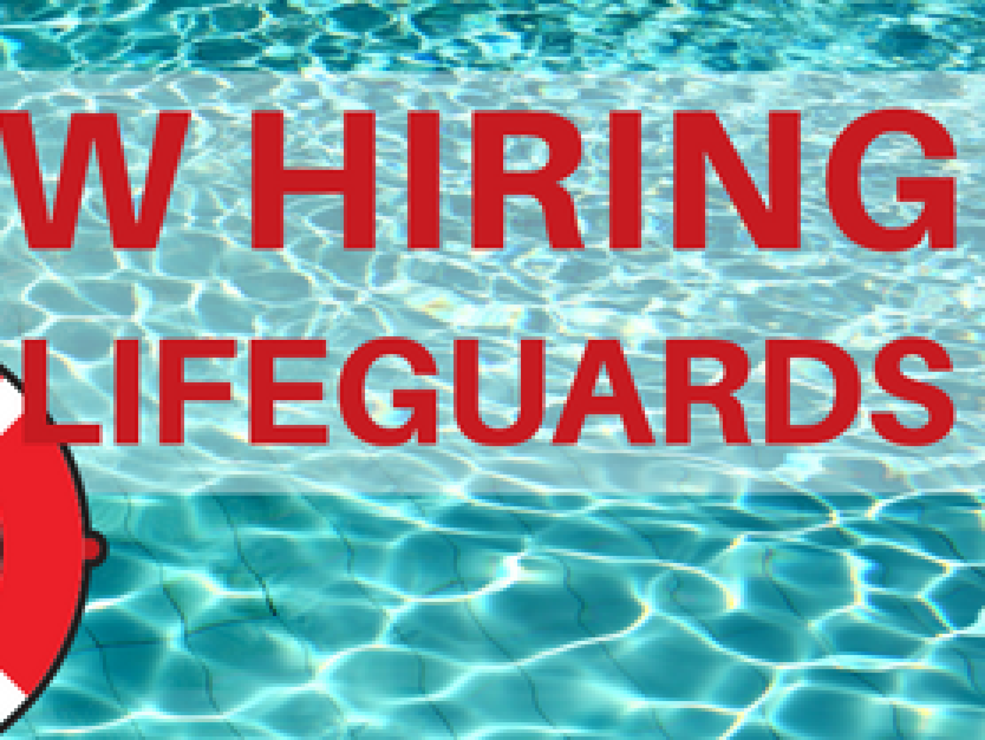 Lifeguards Needed Westfield New York 